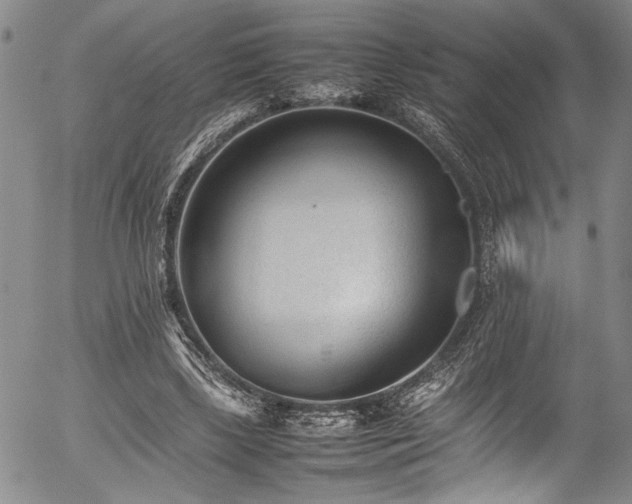 X0000054430443200507291252