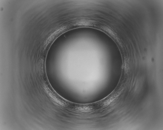 X0000054430445200507291252