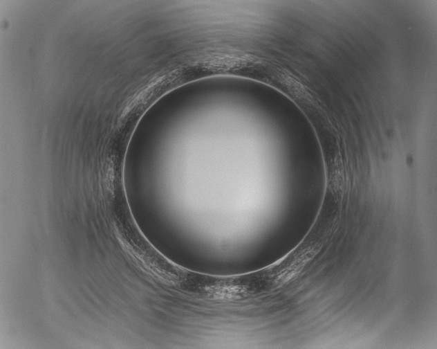 X0000054430448200507291252