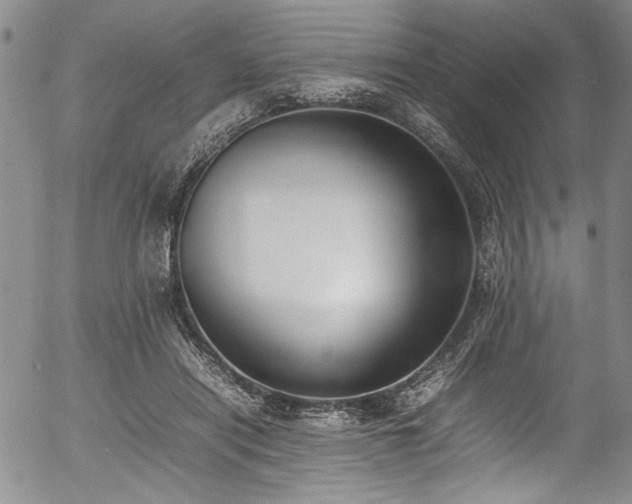 X0000054430454200507291253