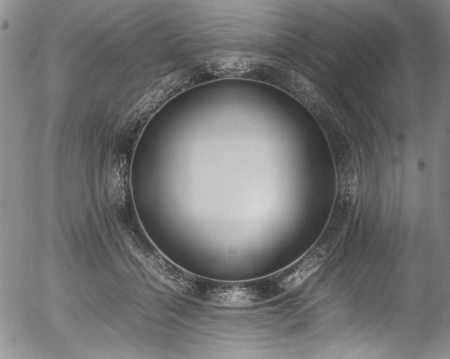 X0000054430460200507291253