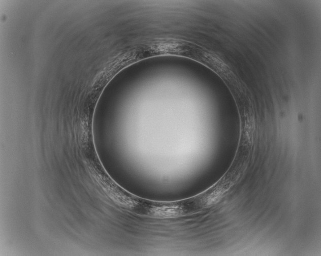 X0000054430461200507291253