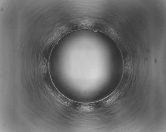 X0000054430464200507291253