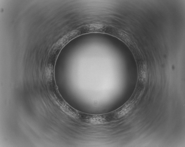 X0000054430468200507291253