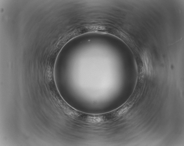 X0000054430469200507291253