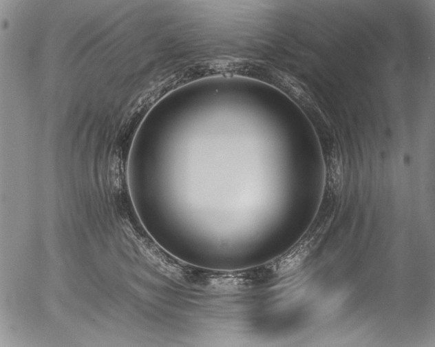 X0000054430470200507291253