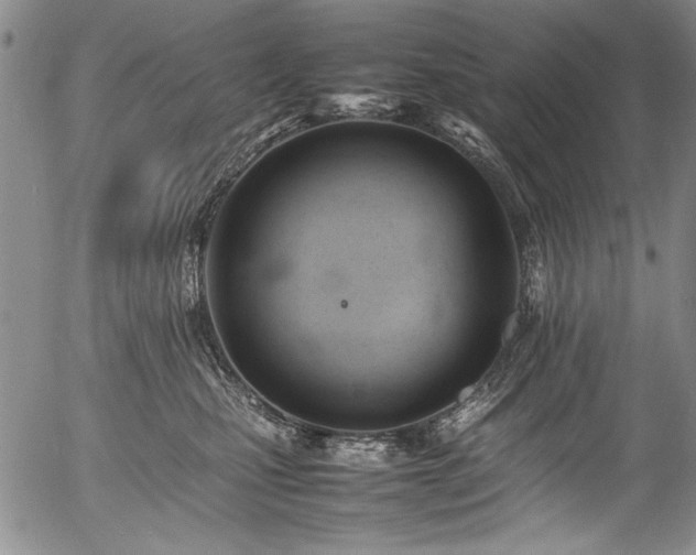 X0000054430471200507291253
