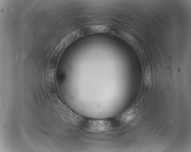 X0000054430473200507291253