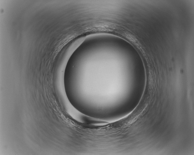 X0000054430481200507291252