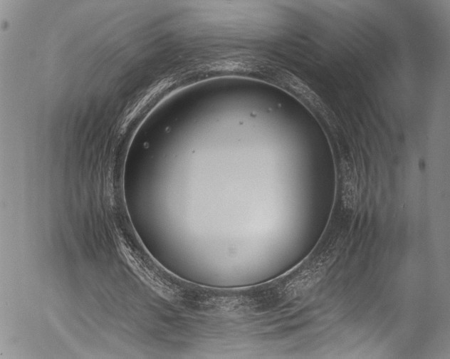 X0000054430482200507291252