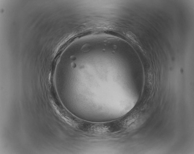 X0000054430491200507291252