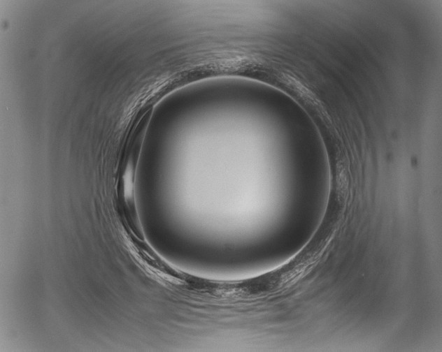 X0000054430493200507291252