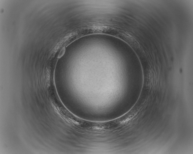 X0000054430496200507291252