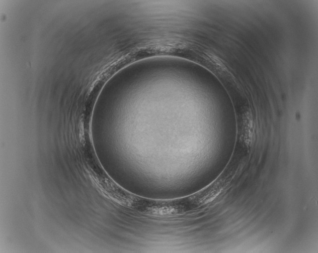 X0000054430500200507291252