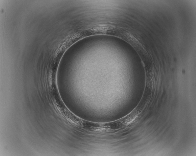 X0000054430504200507291252