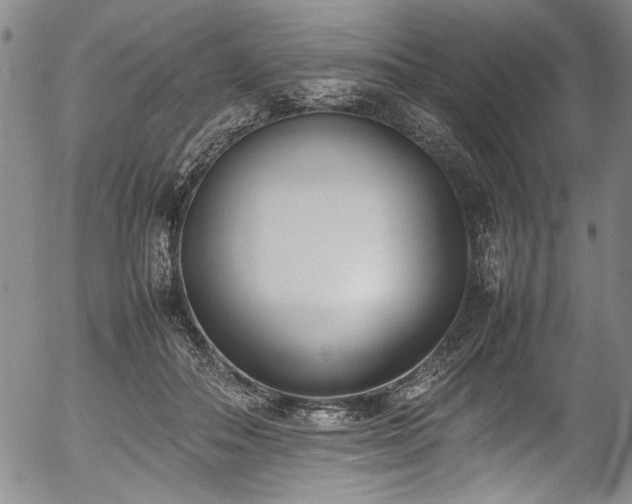 X0000054430506200507291252
