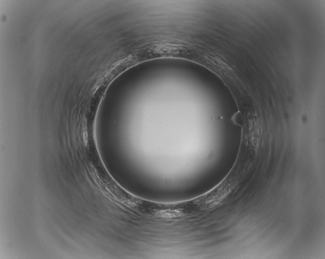 X0000054430508200507291252