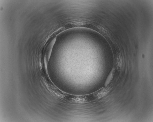 X0000054430512200507291252