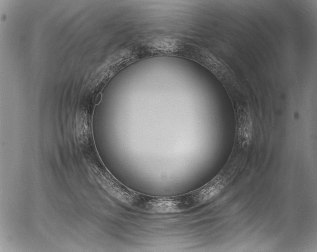 X0000054430518200507291252