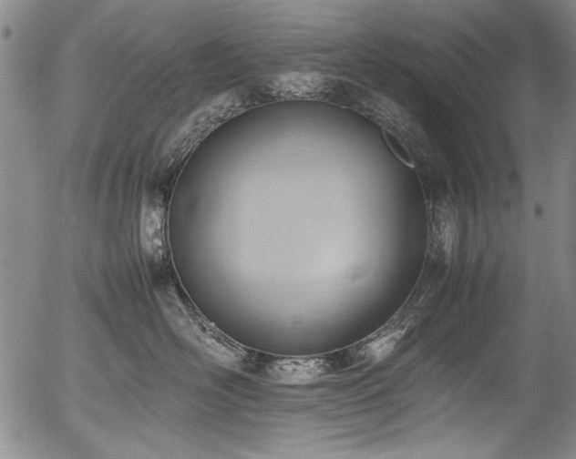 X0000054430526200507291251