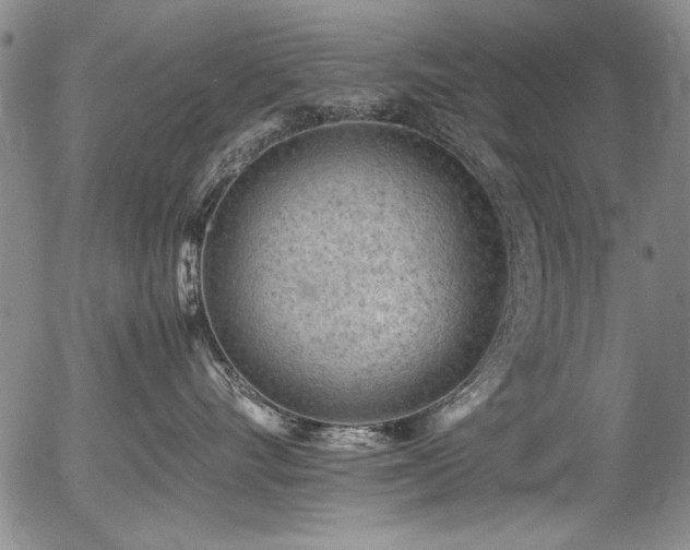 X0000054430528200507291251