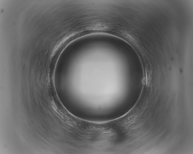 X0000054430531200507291251