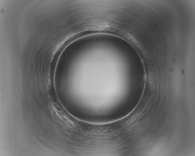 X0000054430532200507291251