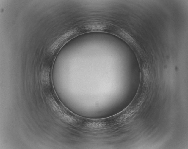 X0000054430537200507291251
