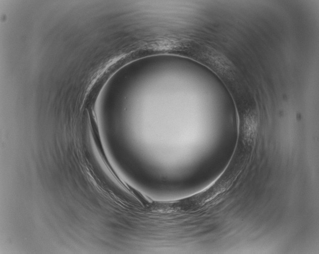 X0000054430540200507291251