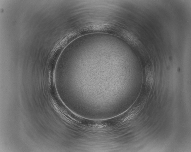 X0000054430542200507291251