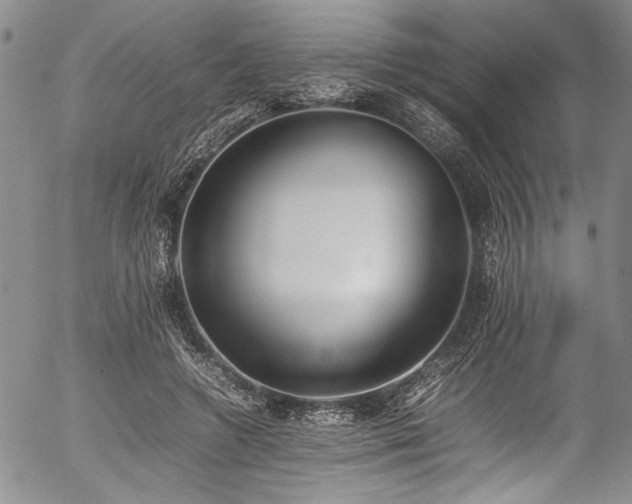 X0000054430546200507291251