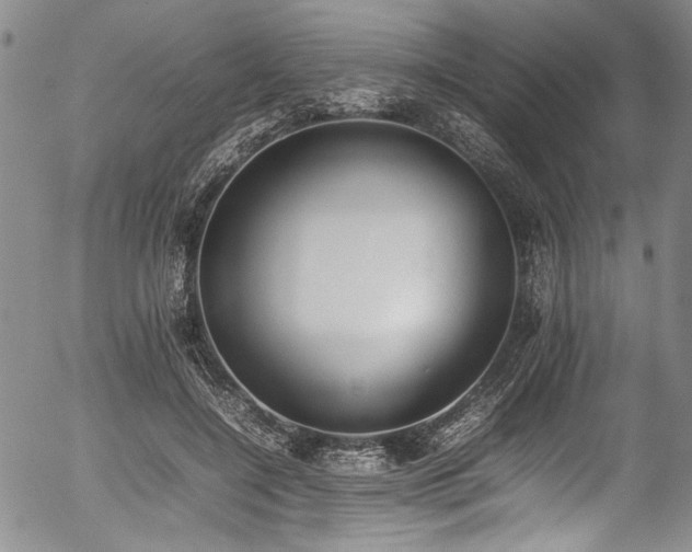 X0000054430548200507291251