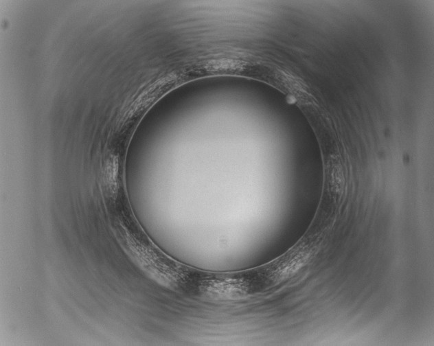 X0000054430550200507291251