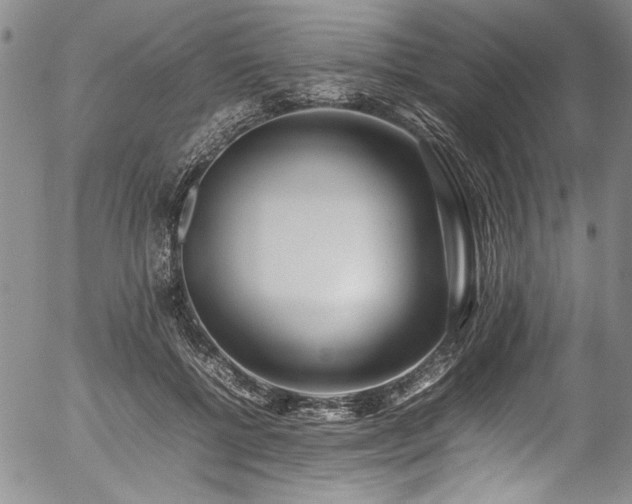 X0000054430552200507291251