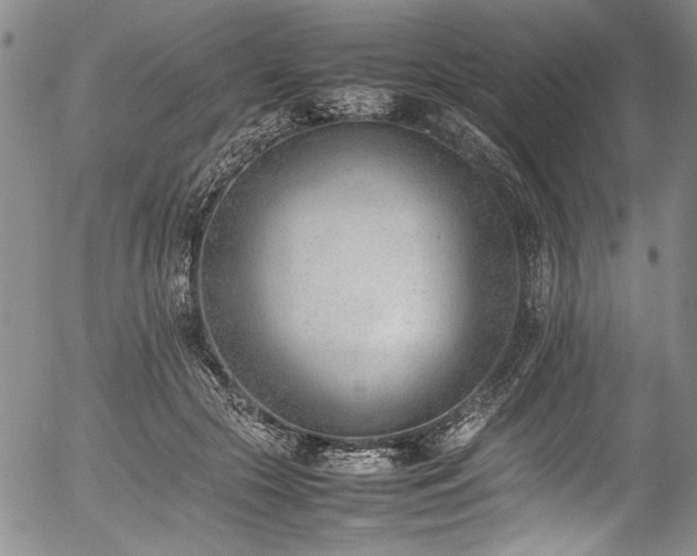X0000054430553200507291251