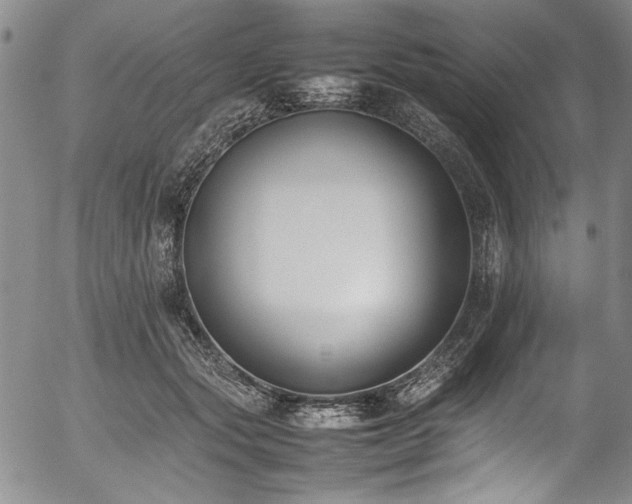 X0000054430557200507291251