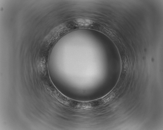 X0000054430559200507291251
