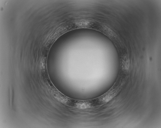 X0000054430561200507291251