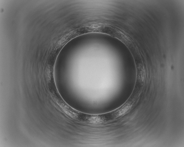 X0000054430562200507291251