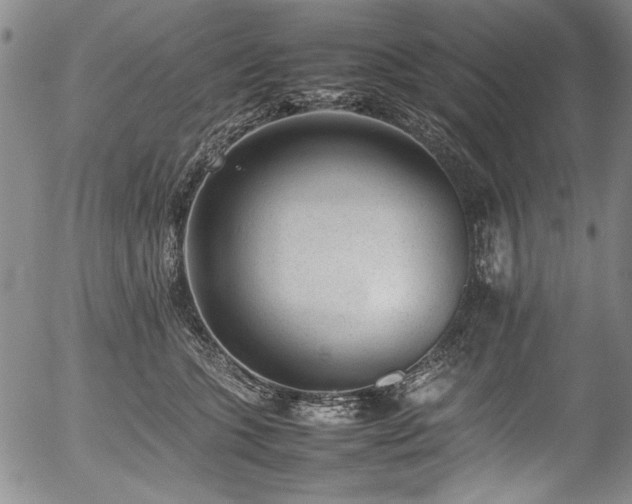 X0000054430563200507291251