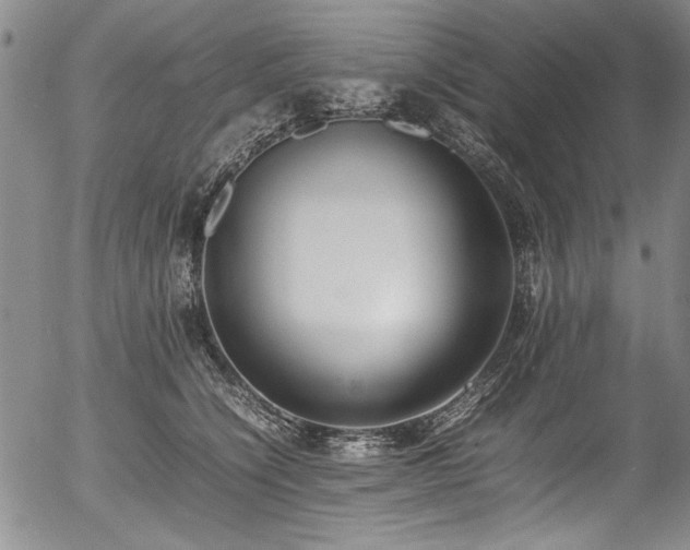 X0000054430564200507291251