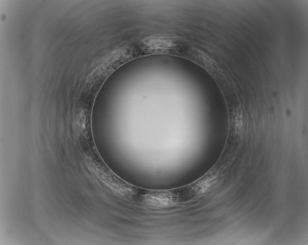 X0000054430567200507291251