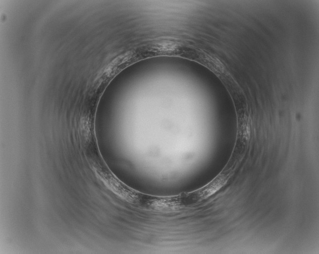 X0000054430568200507291251