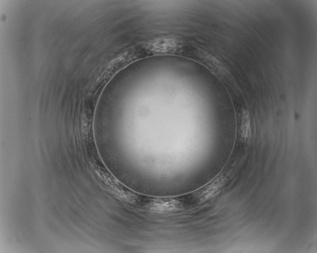 X0000054430569200507291251