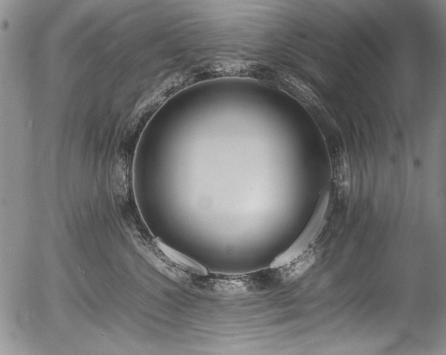 X0000054430572200507291251