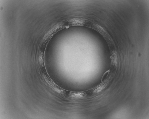 X0000054430573200507291251