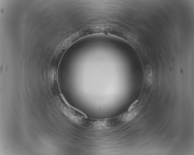 X0000054430574200507291251