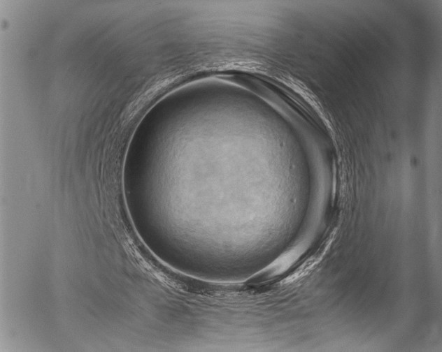 X0000054430577200507291251