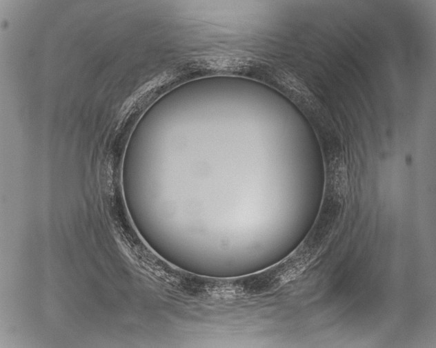 X0000054430587200507291250