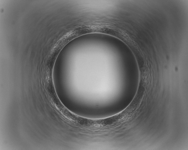 X0000054430593200507291250